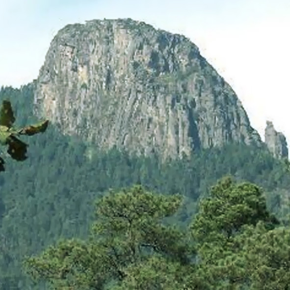 Acopinalco del Peñón